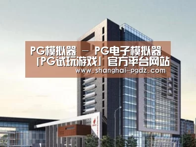 案例展示七