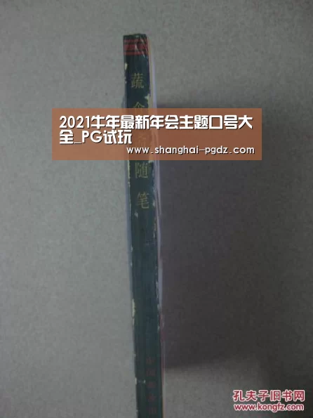 PG试玩